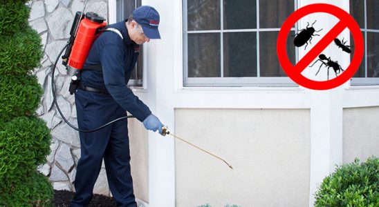 Kumru Kemirgen İlaçlama böcek ilaçlama ve haşere kontrolü — ilaclama-tr.com